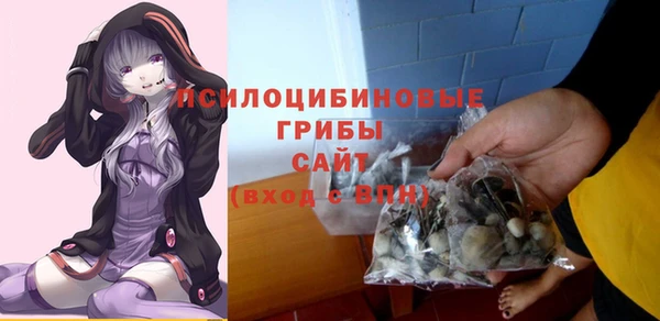 прущие крисы Богданович